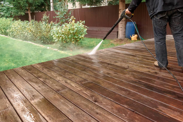 Best Roof Cleaning and Mildew Removal in Maben, MS